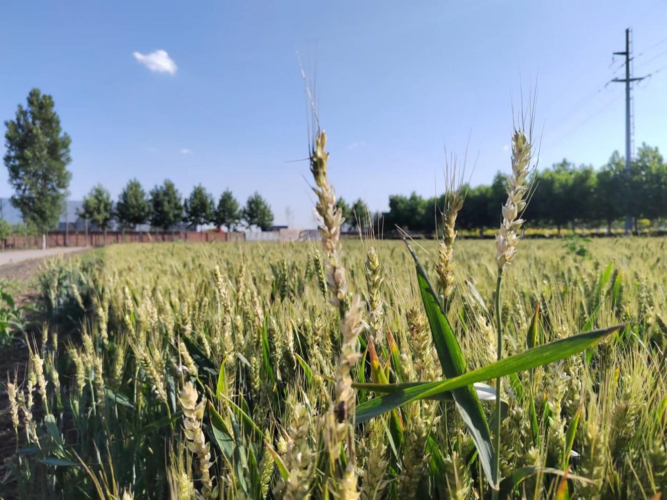 824c407ca9c474c9c47385ad9a1c2a6